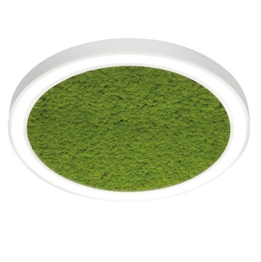 9836 Vector Round Moss OP